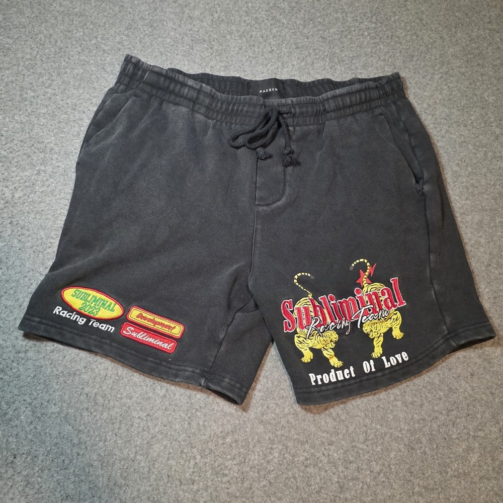 Pacsun Subliminal Fleece Volley Sweat Shorts Large D2